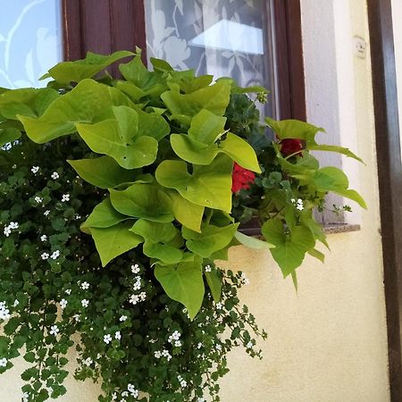 House Josipa Hotel Rakovica Exterior foto