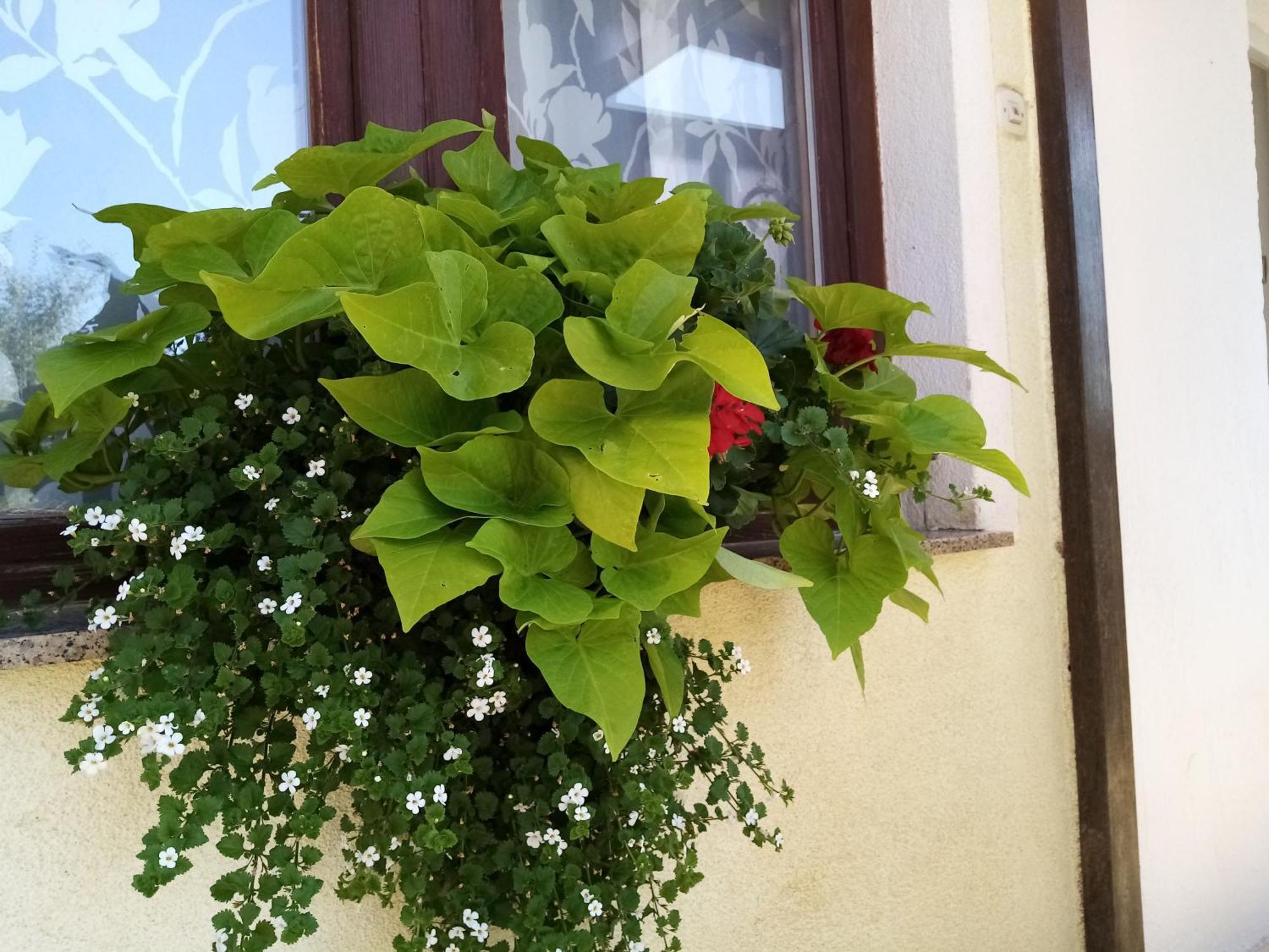 House Josipa Hotel Rakovica Exterior foto